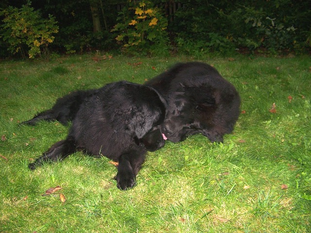 Aischa und Paddy