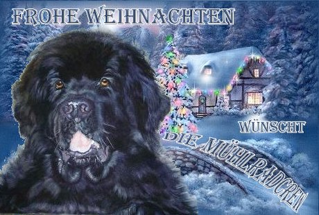 An den Beitrag angehängtes Bild: http://www.neufundlaender-vom-muehlrad.de/Weihnacht/frohe.jpg