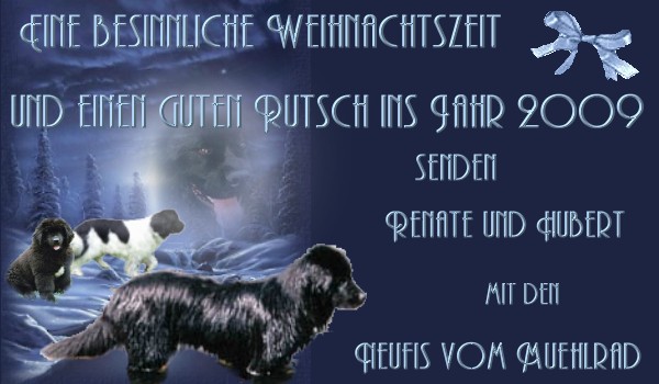 An den Beitrag angehängtes Bild: http://www.neufundlaender-vom-muehlrad.de/Weihnacht/weihnacht2008.jpg