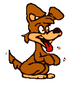 bettel Hund